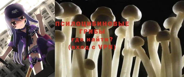 индика Верея