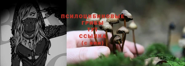 соль курить ск Верхний Тагил