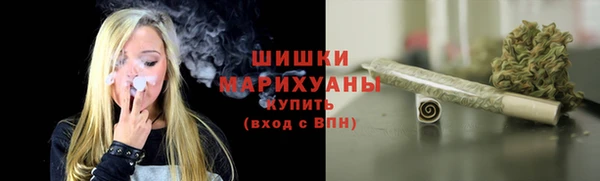 индика Верея