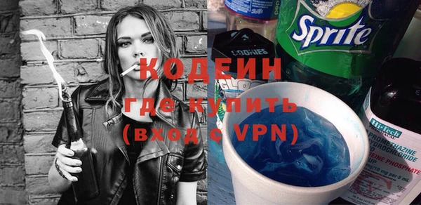индика Верея