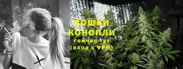 индика Верея