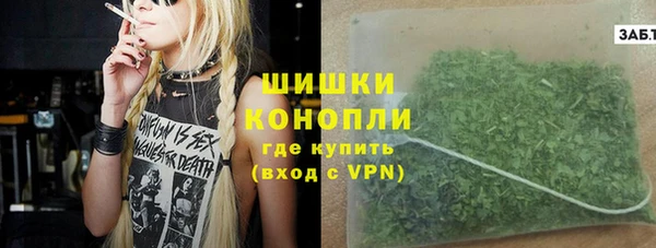индика Верея